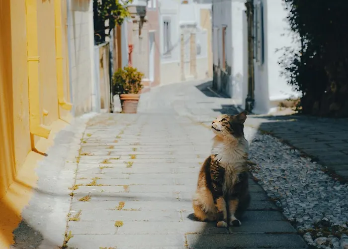 Case de vacanță Aspasias Traditional House Koskinou (Rhodes)